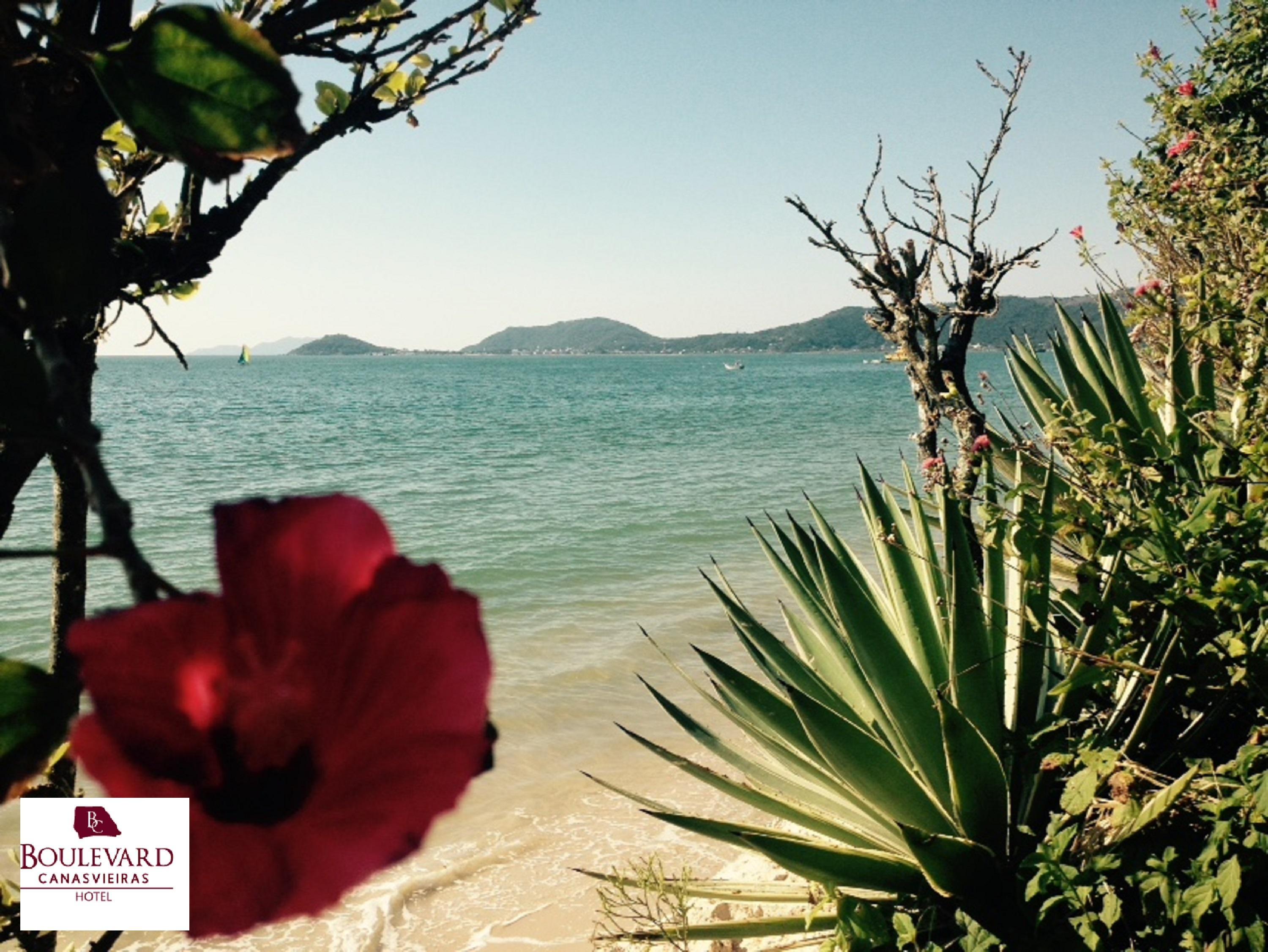 Boulevard Beach Canasvieiras Hotel Florianópolis Extérieur photo